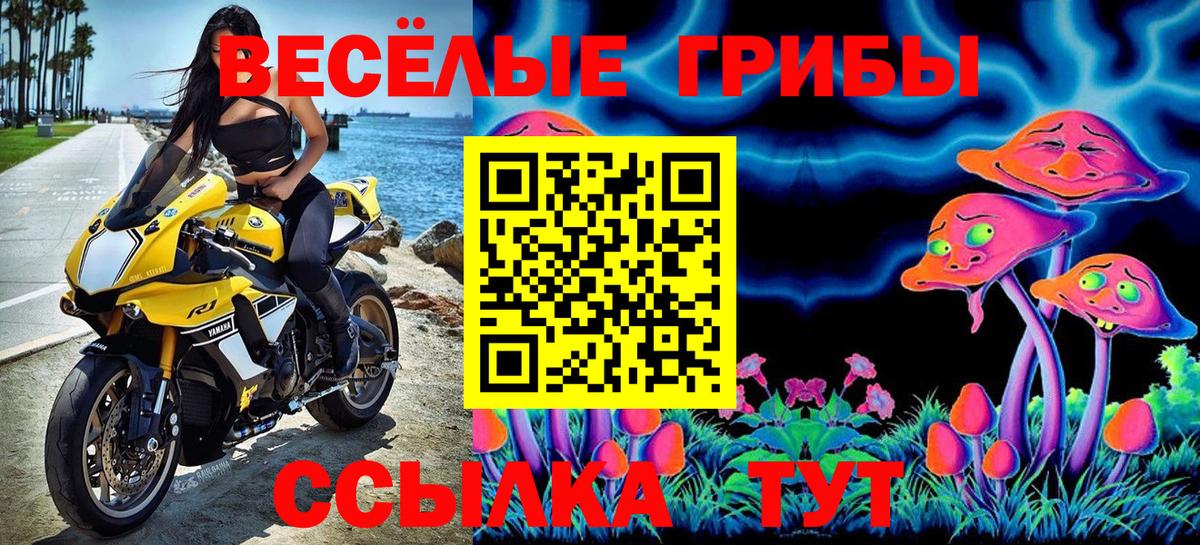 Алейск  Псилоцибиновые грибы GOLDEN TEACHER  Вход с VPN  Галлюциногенные грибы прущие грибы 